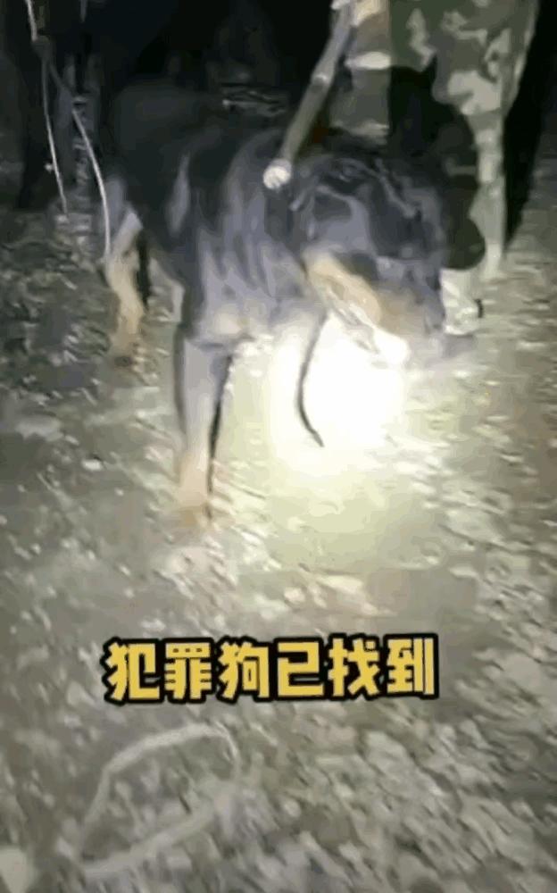娱乐生活 第51页